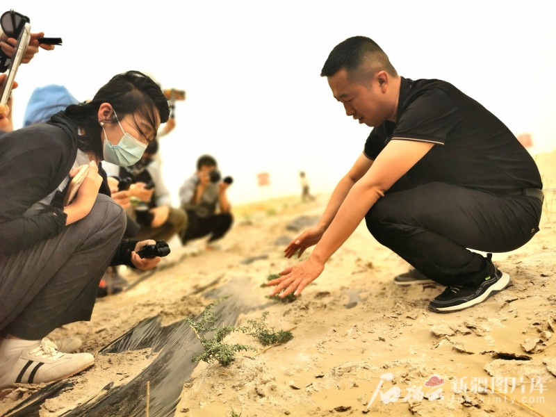 环着沙漠看新疆丨百亿方水唤醒台特玛湖