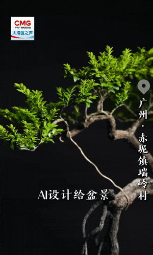 勇立潮头大湾区丨百年盆景村破圈记