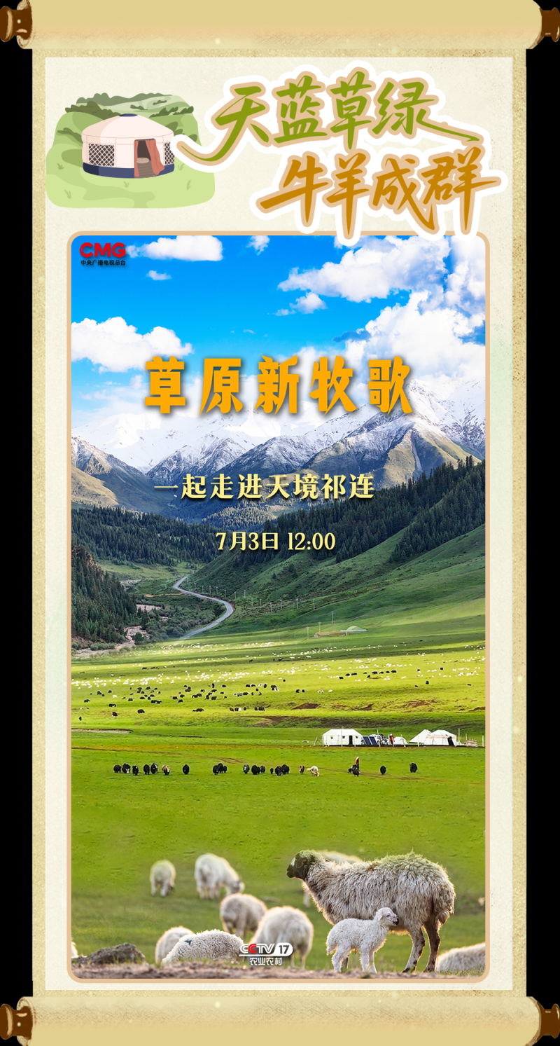 总台周看点丨七月，你好！