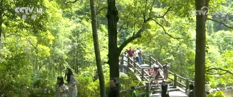 夏日文旅“好戏连台”别样精彩 上“新招”引“客流”激活消费新潜力