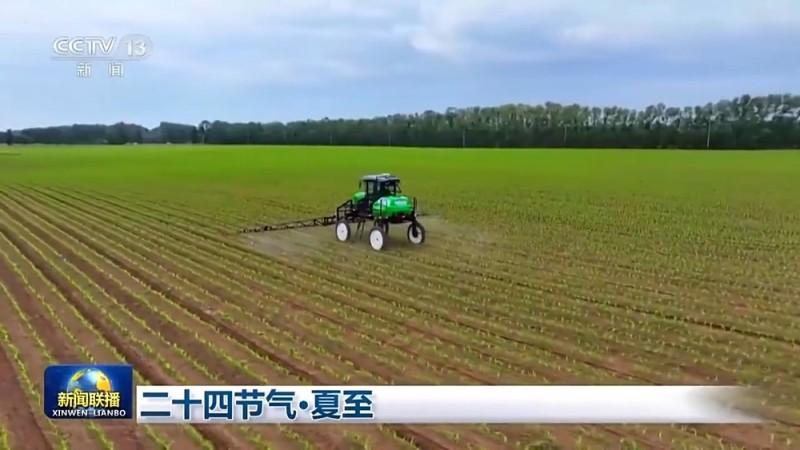 文化中国行丨二十四节气・夏至 阳气鼎盛万物并秀