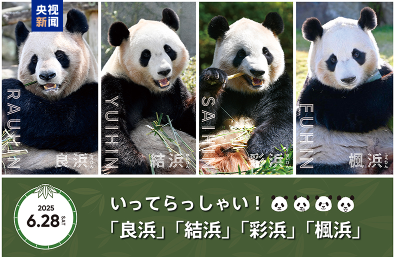 4只旅日大熊猫明日启程回国 日本民众依依惜别