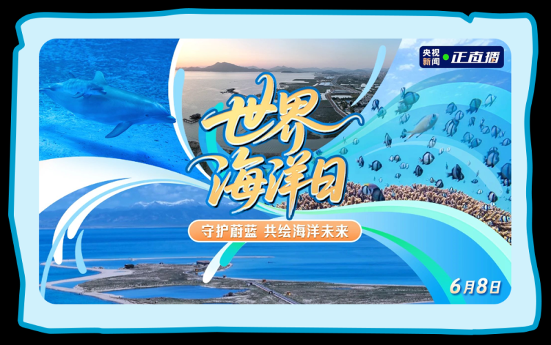 总台周末看点 | “荔”争上游！