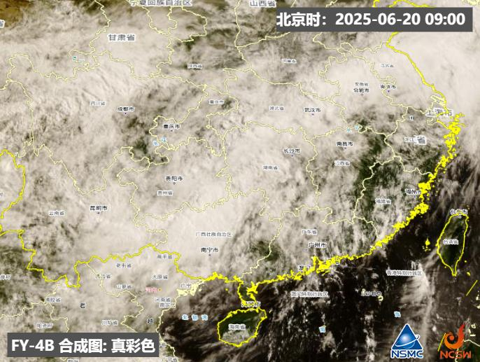今年梅雨季全面开启！如何应对和防御？