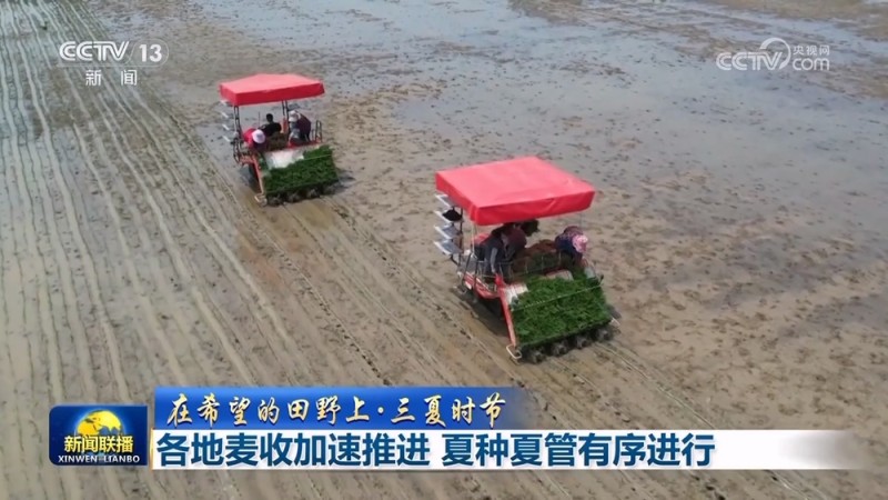 【在希望的田野上・三夏时节】各地麦收加速推进 夏种夏管有序进行