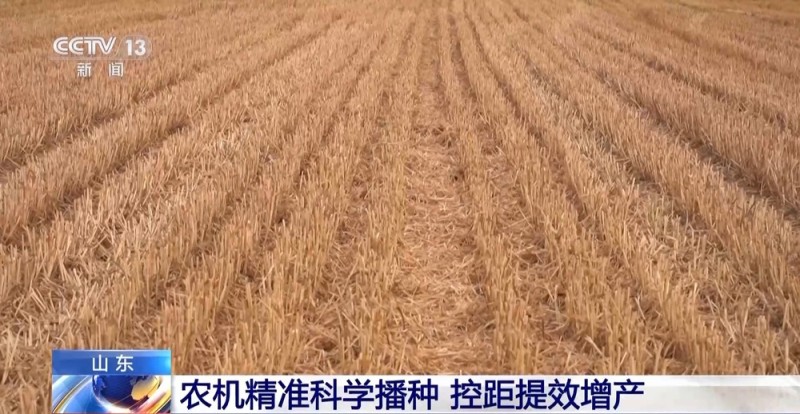 机损率仅0.5% 每亩多赚15元 科技助力夏收创造良性循环