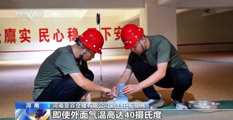 “黑科技”升级粮食“住”进好房子 今年粮食收购储存有新亮点→