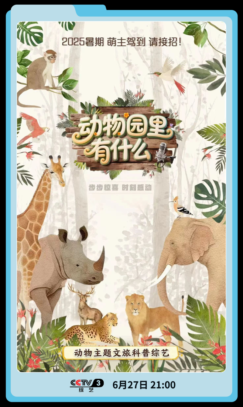 总台周末看点丨走，寻风去！