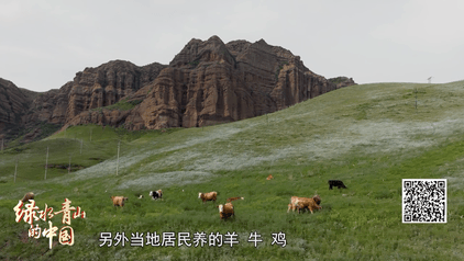 绿水青山的中国丨去新疆！畅游天山地理画廊