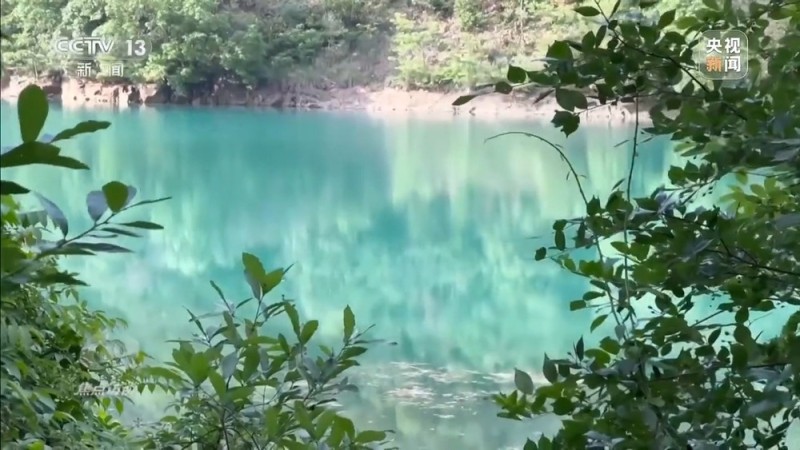 焦点访谈丨让环保融入日常 各地的温暖实践点亮绿意生活