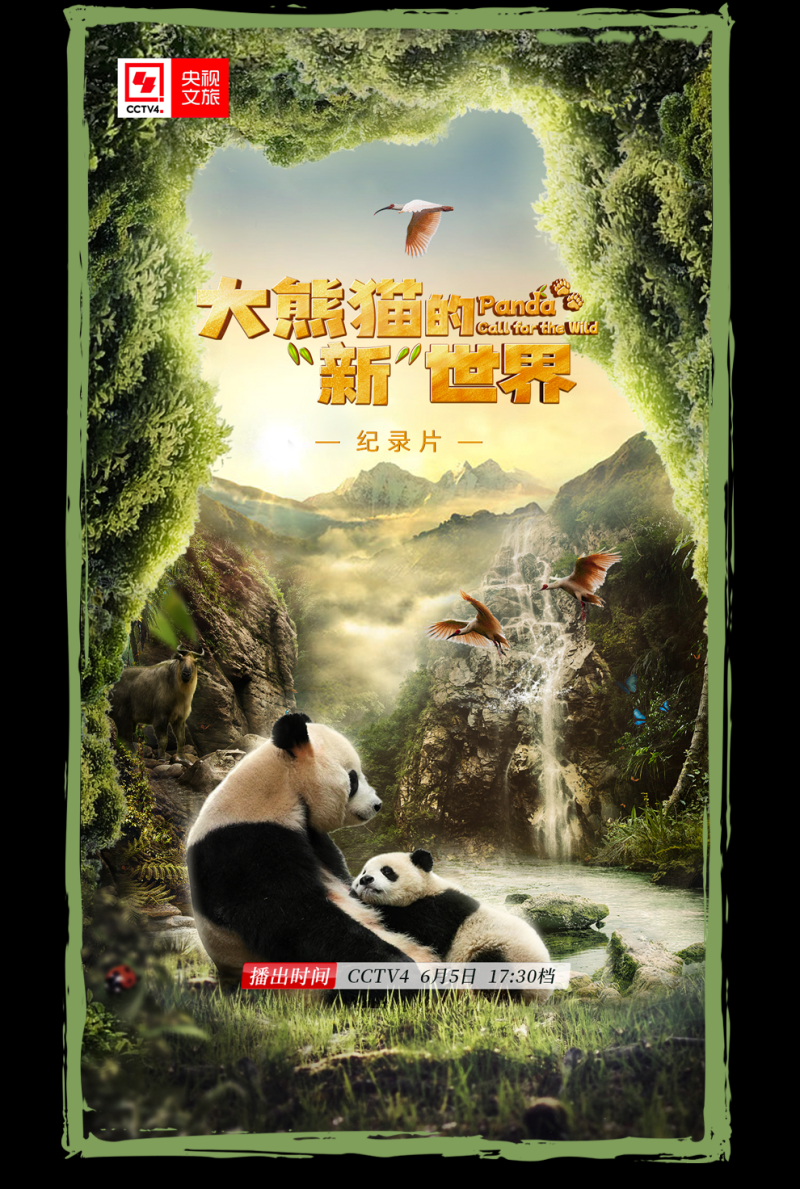 总台周看点丨美丽中国我先行