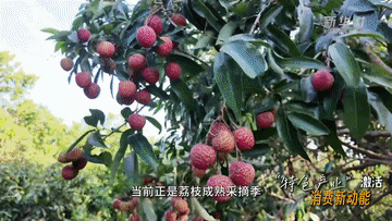 新华全媒+｜“热”力全开 消费新场景激发夏日文旅新活力