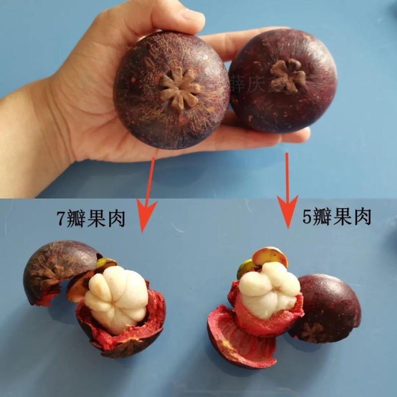 这种水果很贵 虽然好吃但营养价值一般 热量还很高……