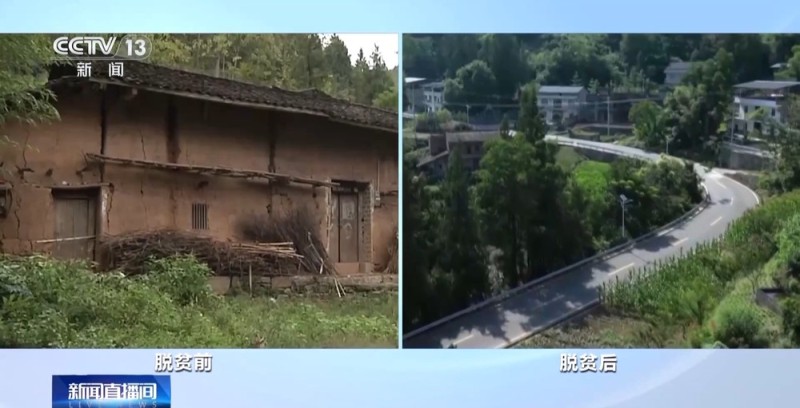 从连片贫瘠到山河锦绣 这些地方依靠产业扶贫走上致富路