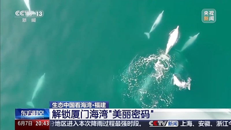 保护潮起潮落间的美丽！看，这是建设海湾的“硬核”实力