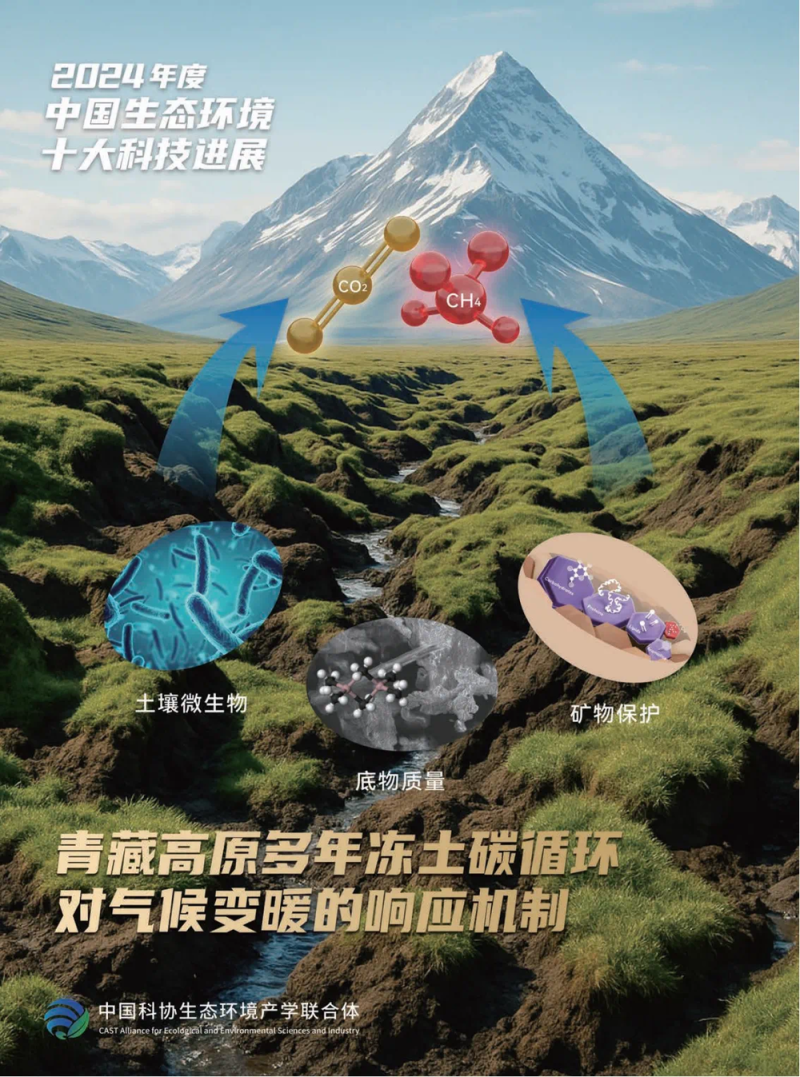 2024年度中国生态环境十大科技进展发布