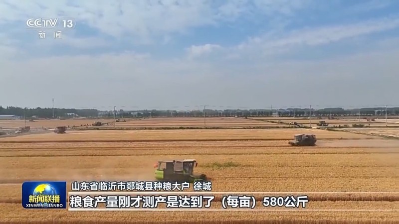 全国夏粮小麦收获进度过半 为全年丰产丰收打好基础