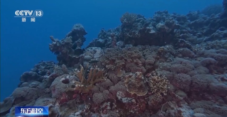 海湾“变美”关键在哪？看中国方案呵护一抹蔚蓝