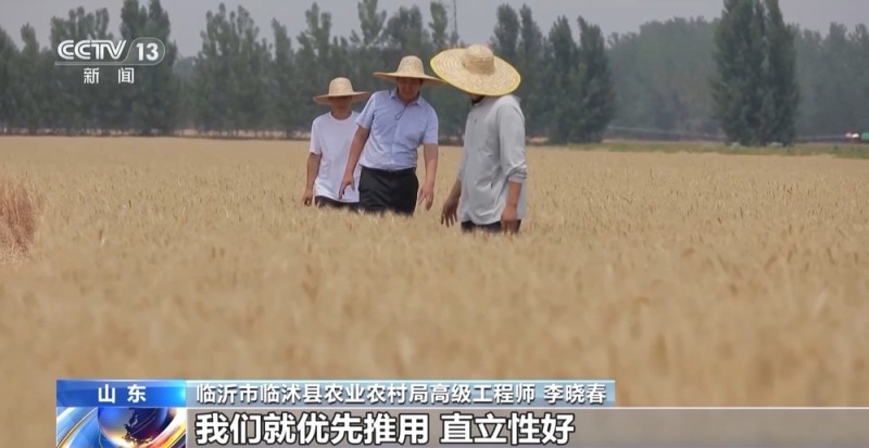 机损率仅0.5% 每亩多赚15元 科技助力夏收创造良性循环