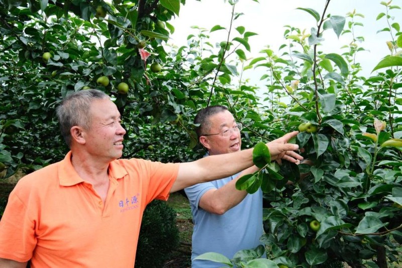党旗在基层一线高高飘扬丨十年驻守米飘香――驻村第一书记莫日发的乡村印记