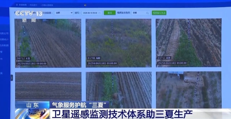 雷达盯害虫、卫星测墒情……智慧气象护航“三夏”生产