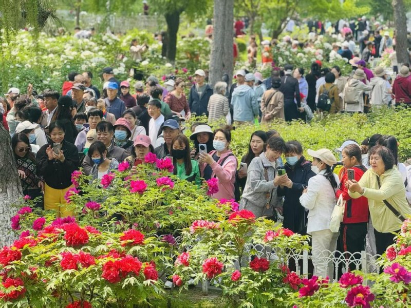 风景如何变场景――探析吉林“赏花游”的流量密码