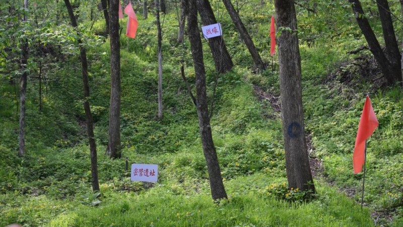 铭记历史 缅怀先烈丨白山黑水见证：从烽火硝烟到振兴热土的巨变