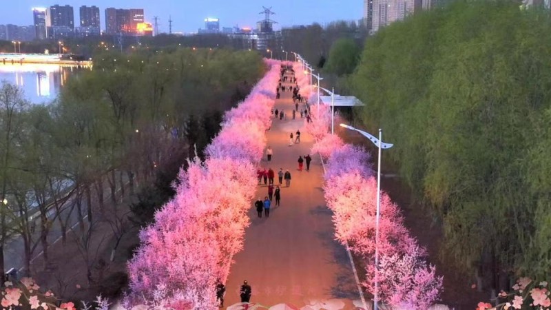 风景如何变场景――探析吉林“赏花游”的流量密码