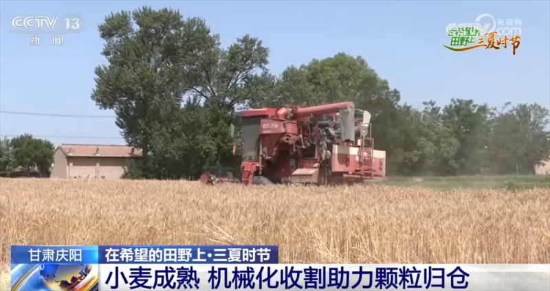 良种良机良法为夏粮丰收提供“硬支撑” 农业现代化图景有“智”更有“质”
