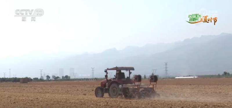 万物至盛 欣欣向荣 希望的田野上奏响丰收“欢歌”