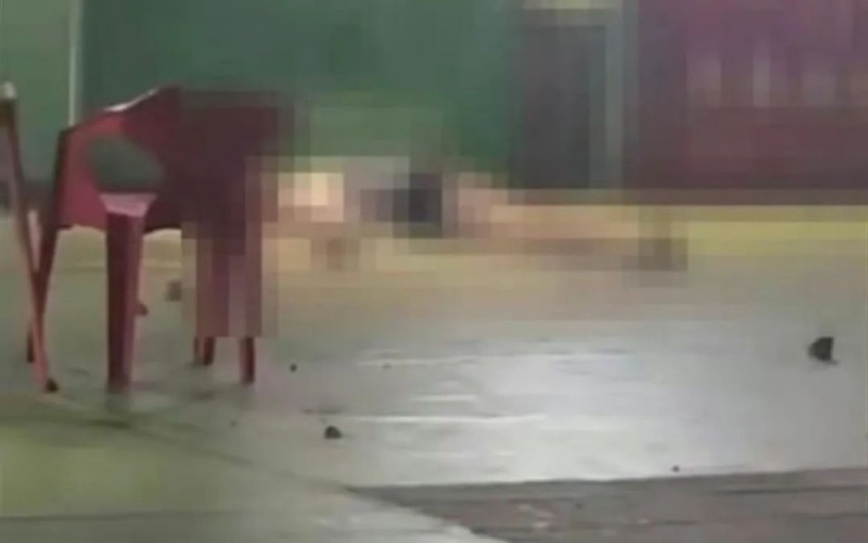 天降乌龟砸死孩童，饲主被判赔128万分期偿还