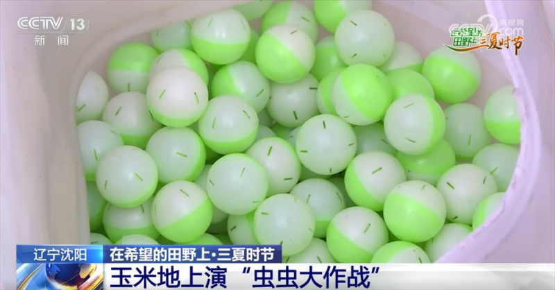 良种良机良法为夏粮丰收提供“硬支撑” 农业现代化图景有“智”更有“质”