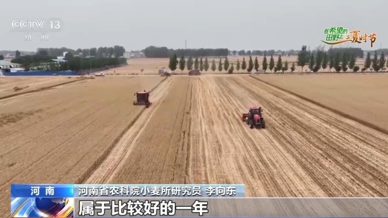 AI解锁丰收密码丨把滴灌带“种”进玉米地 干旱时也能实现高效灌溉