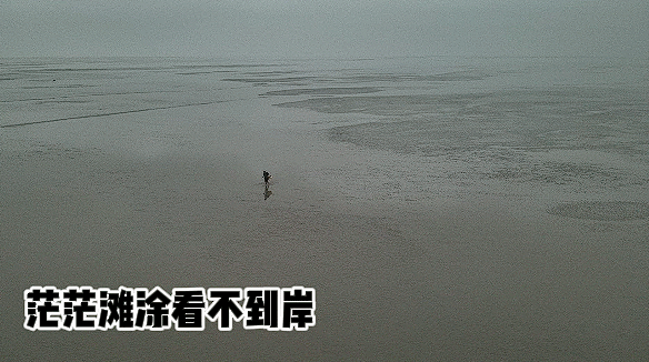男子被困滩涂 消防员派无人机引导脱困！赶海游玩必看安全攻略→