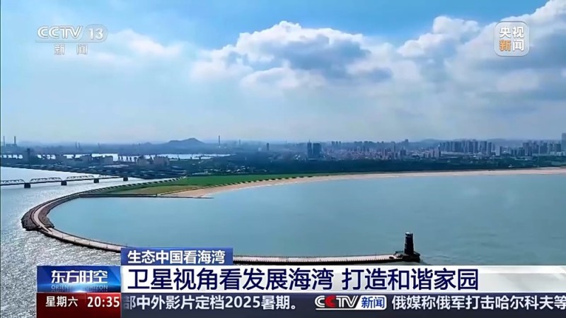 保护潮起潮落间的美丽！看，这是建设海湾的“硬核”实力