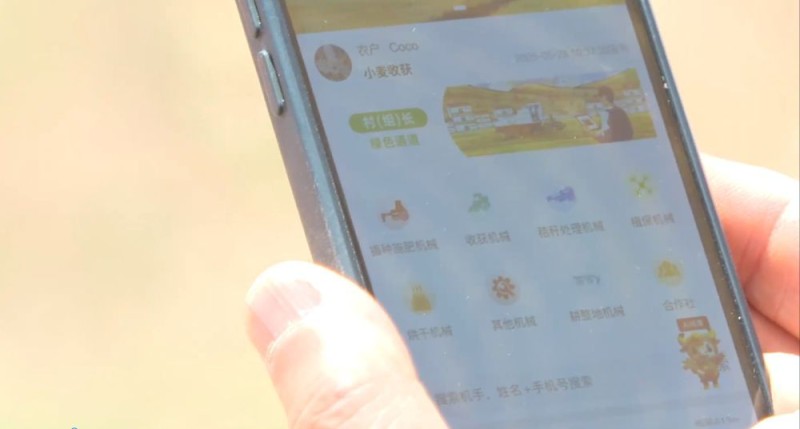 “三夏”生产一线观察｜抢收抢种不误时 农业生产高效推进