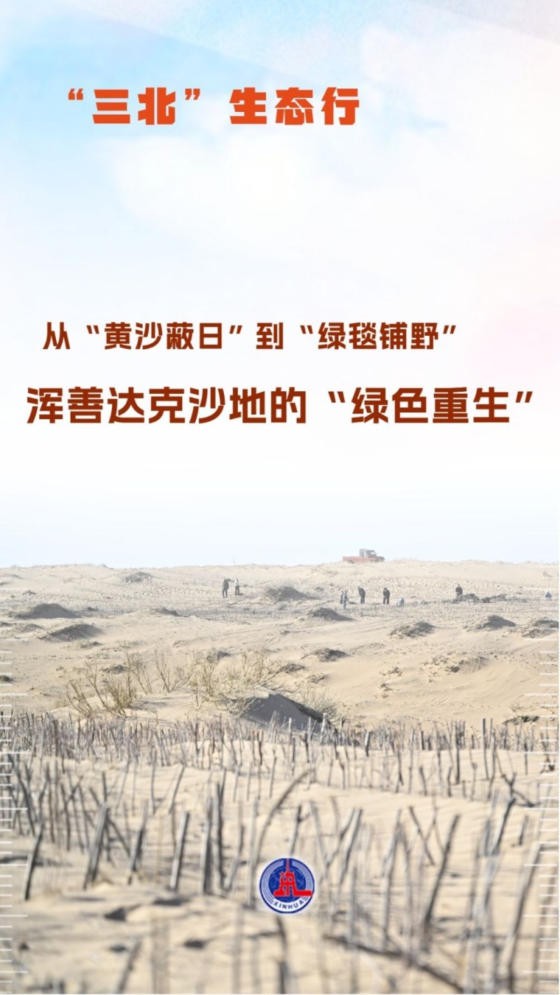 “三北”生态行：从“黄沙蔽日”到“绿毯铺野”――浑善达克沙地的“绿色重生”