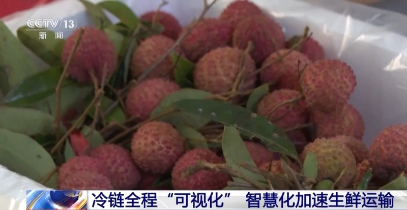 各地物流智能化升级 小包裹跑出了“加速度”