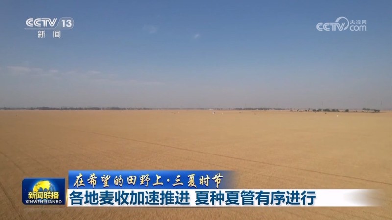 【在希望的田野上・三夏时节】各地麦收加速推进 夏种夏管有序进行