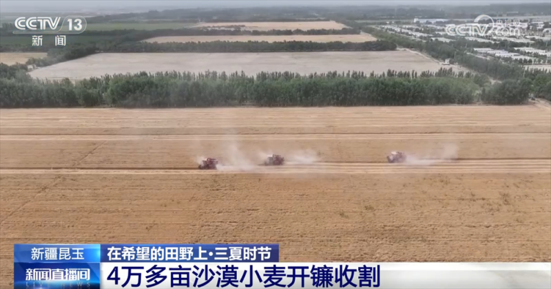良种良机良法为夏粮丰收提供“硬支撑” 农业现代化图景有“智”更有“质”