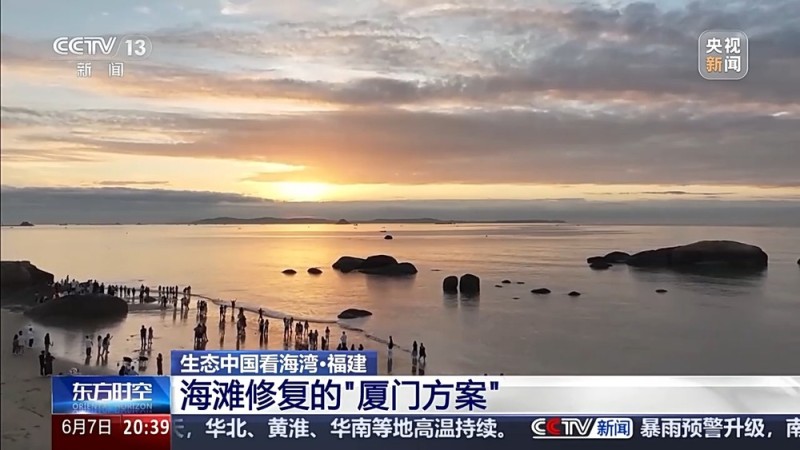 保护潮起潮落间的美丽！看，这是建设海湾的“硬核”实力