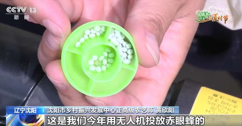 良种良机良法为夏粮丰收提供“硬支撑” 农业现代化图景有“智”更有“质”