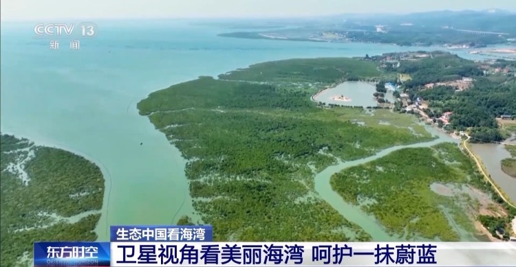 海湾“变美”关键在哪？看中国方案呵护一抹蔚蓝