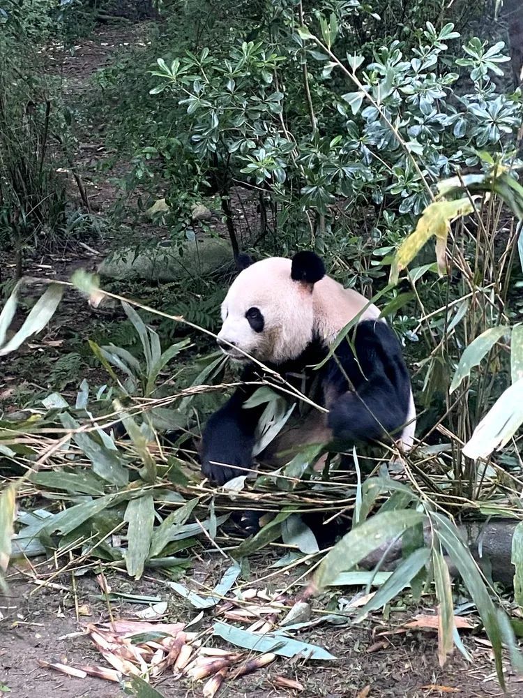 我的铁路风景｜用发现美的眼睛捕捉旅途美好！