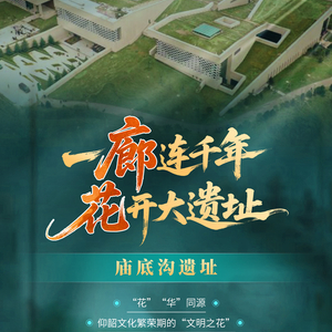 遗产日一起来河南，行走大遗址！