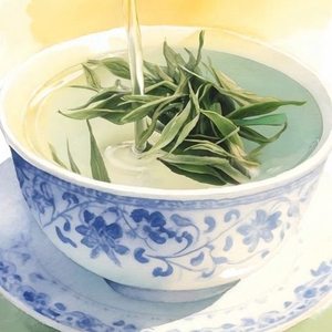 【文化和自然遗产日】漫动时节丨茶：人在草木间