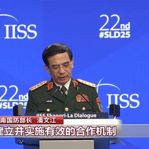 第22届香格里拉对话会闭幕 与会各方倡议合作应对挑战