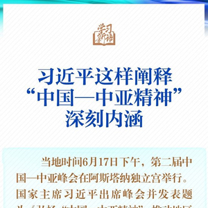 学习新语｜一图学习！习近平这样阐释“中国—中亚精神”深刻内涵