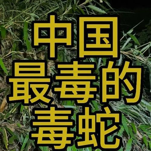 中国十大毒蛇，有一种正生活在海边，请注意防范
