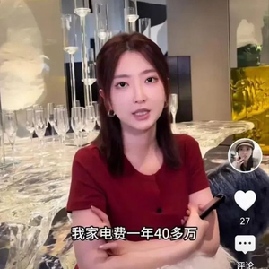 家里一年电费40万，兰博基尼挂墙，装修费8000万！千万网红妻子高调“炫富”，已被禁言